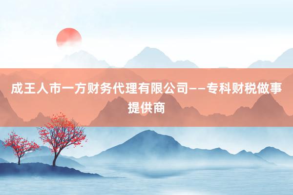 成王人市一方财务代理有限公司——专科财税做事提供商